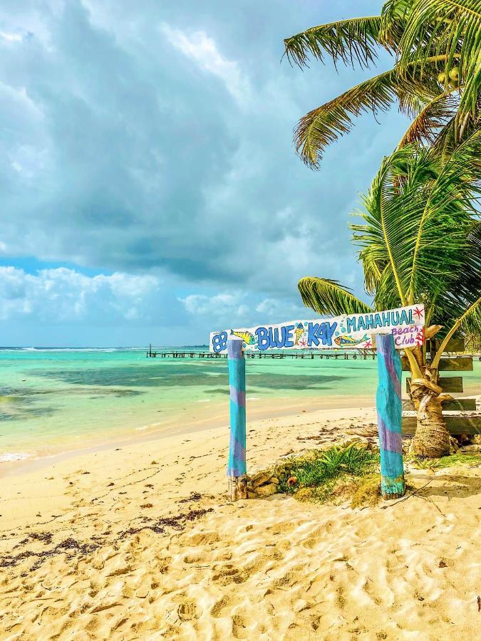 Eco Cabanas Bluekay Hotel Mahahual Kültér fotó